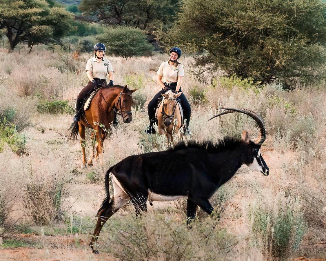 Gabus Safari Lodge Otavi Eksteriør billede