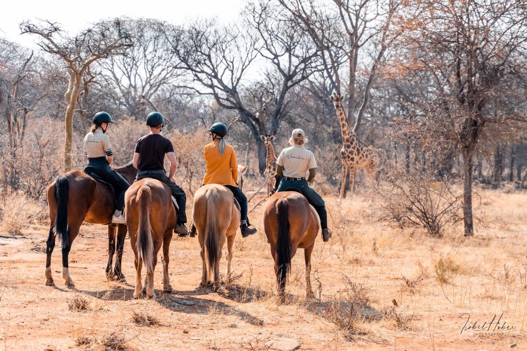 Gabus Safari Lodge Otavi Eksteriør billede